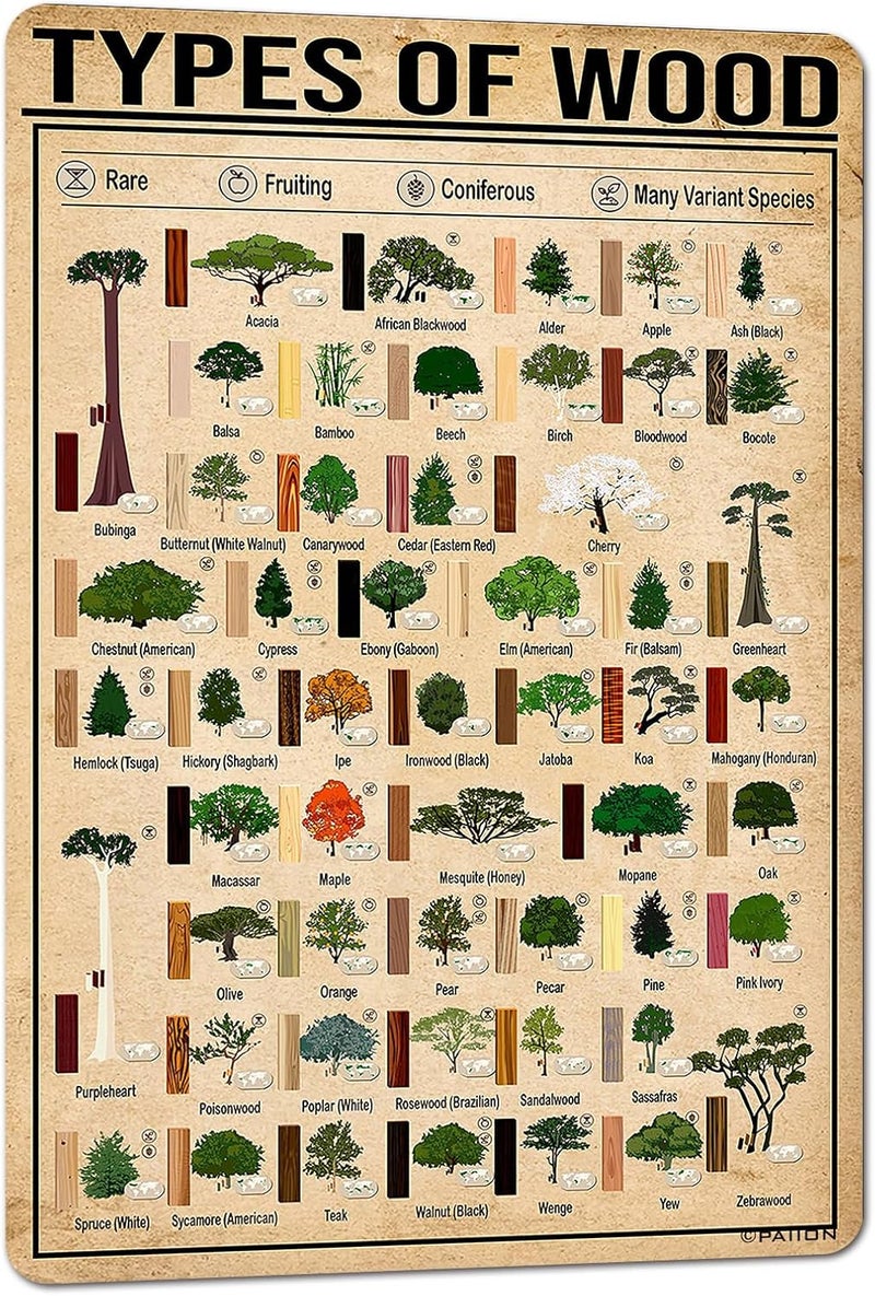 PAIION Types of Wood Metal Sign Woodworking Knowledge Infographic Wall Poster for School Flower Shop Bar Cafe Home Kitchenes 8x12 Inch - Image 1